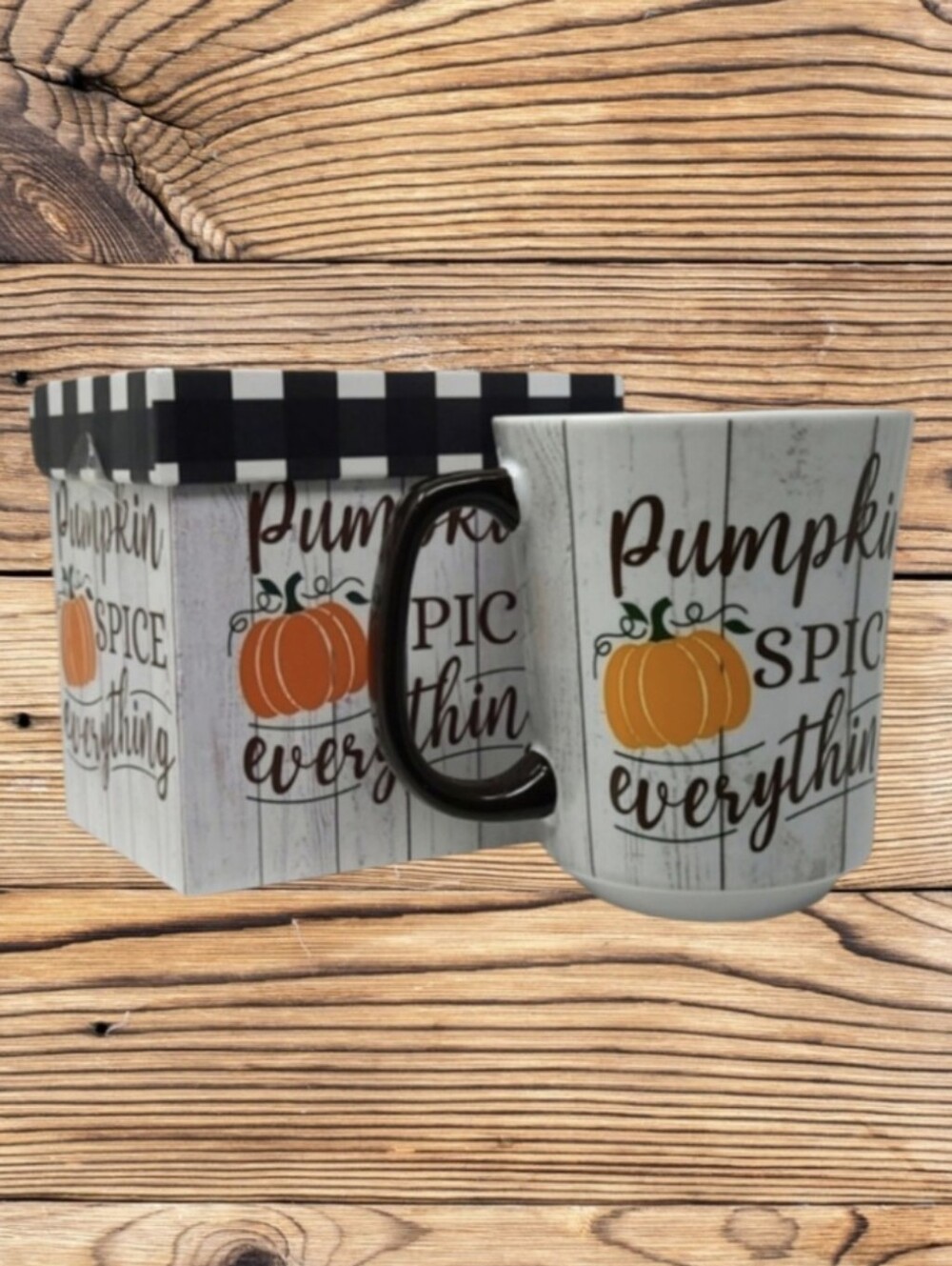 NEW (OPEN BOX) PUMPKIN SPICE EVERYTHING  COFFEE MUG/CUP  BY EVERGREEN